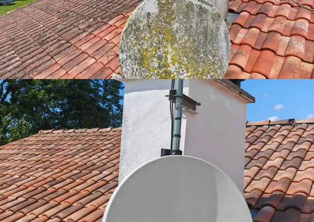 Diagnostic de couverture avant démoussage à Mont-de-Marsan